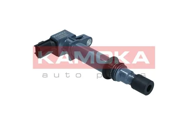 7120153 Kamoka