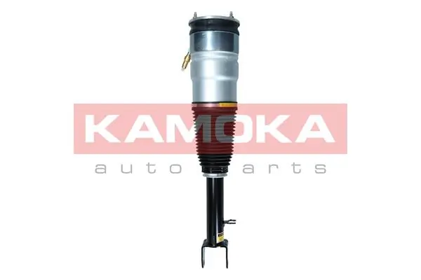 Amortyzator przedni Tesla Model S sedana (5YJS) (2012 - 2016) cena, od 485,82 USD
