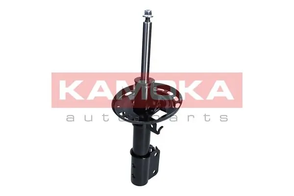 2000536 Kamoka