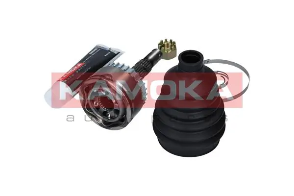 6029 Kamoka