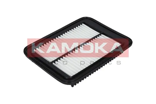 F226101 Kamoka