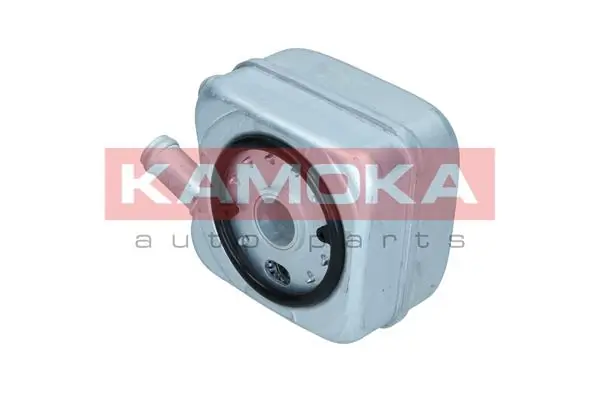 7730009 Kamoka