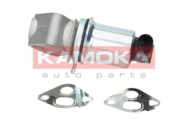19006 Kamoka