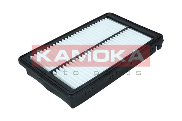 F251901 Kamoka
