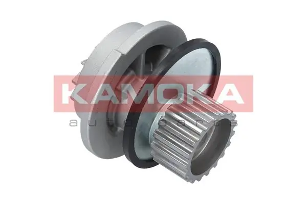 T0106 Kamoka