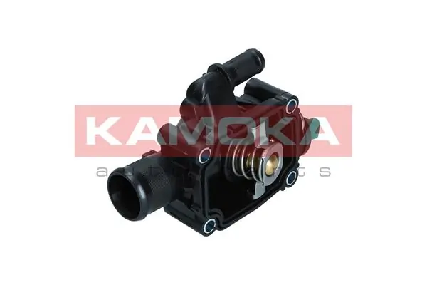 7710181 Kamoka