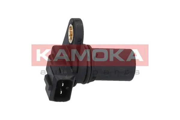 108029 Kamoka