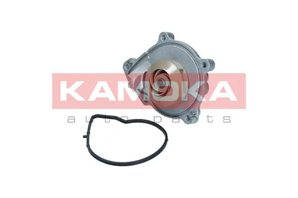 T0050 Kamoka