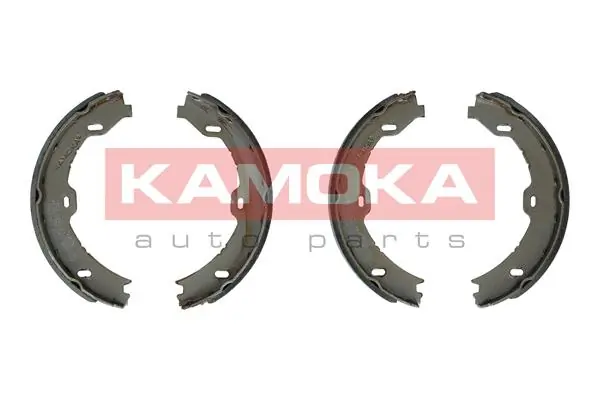 JQ212028 Kamoka