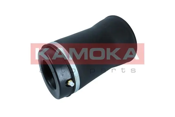 2079028 Kamoka