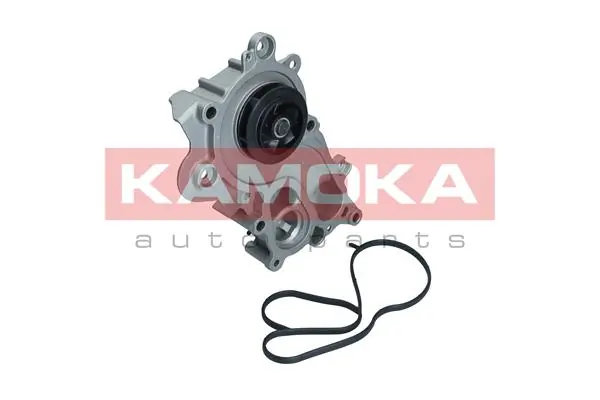 T0286 Kamoka