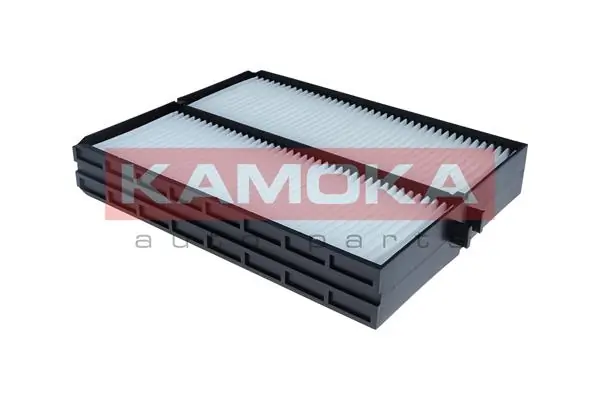 F429501 Kamoka