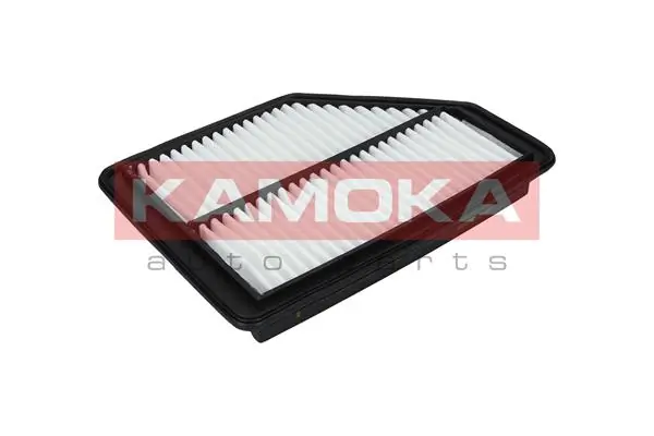 F225901 Kamoka