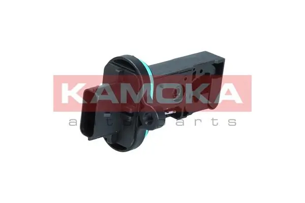 18023 Kamoka