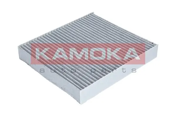 F503801 Kamoka
