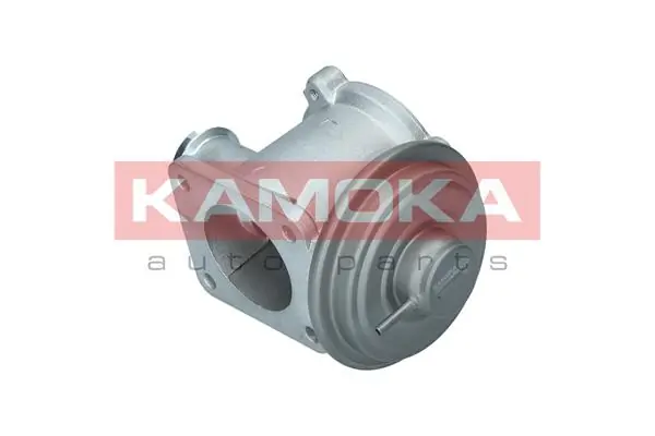 19062 Kamoka
