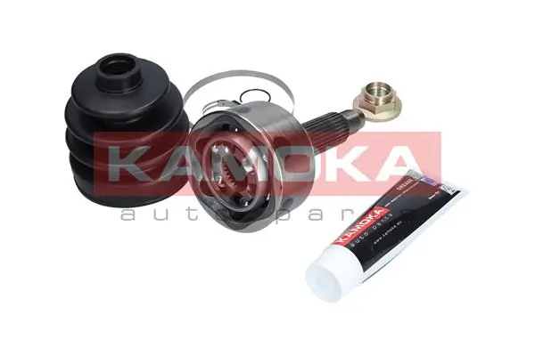 6009 Kamoka