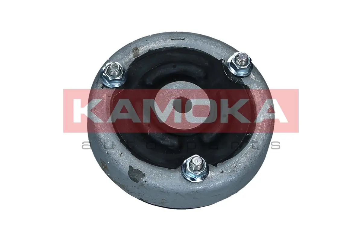 209300 Kamoka