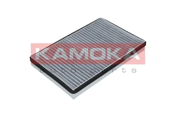 F503101 Kamoka