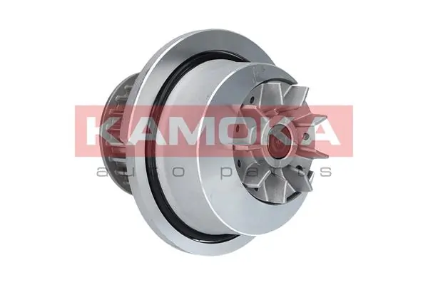 T0232 Kamoka