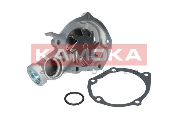 T0209 Kamoka