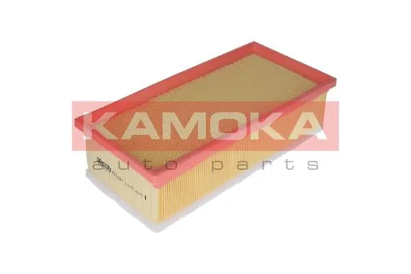 F213201 Kamoka