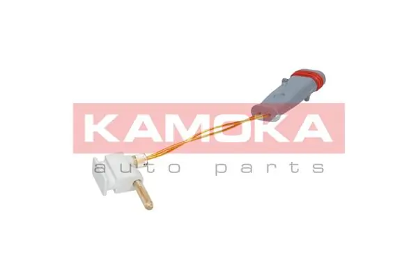 105010 Kamoka