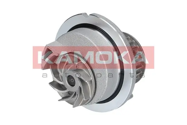T0236 Kamoka