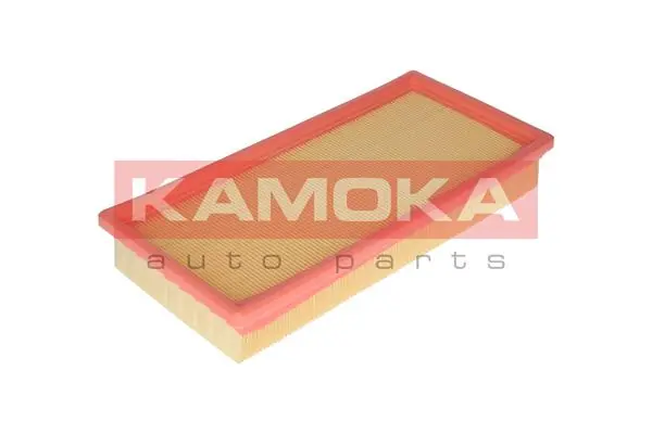 F213301 Kamoka