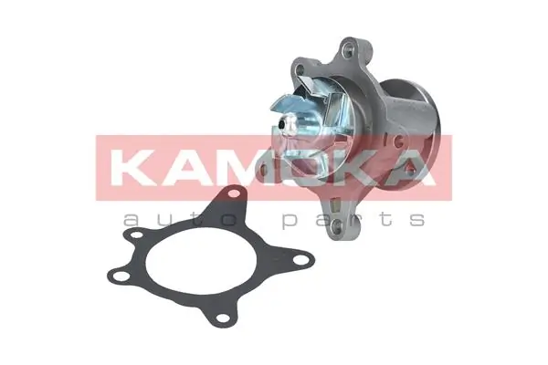 T0163 Kamoka