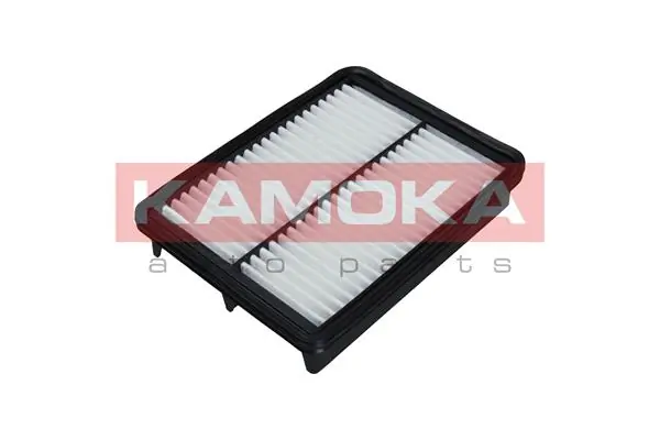 F239101 Kamoka