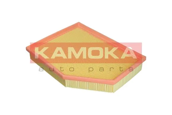 F250601 Kamoka