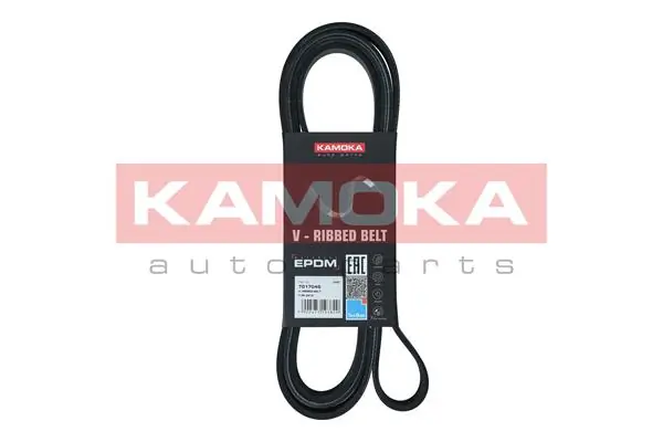 7017045 Kamoka