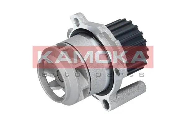 T0251 Kamoka