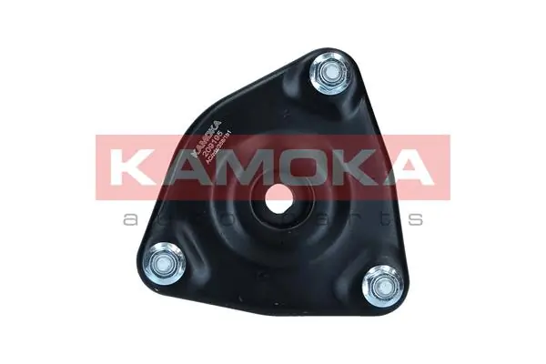 209195 Kamoka