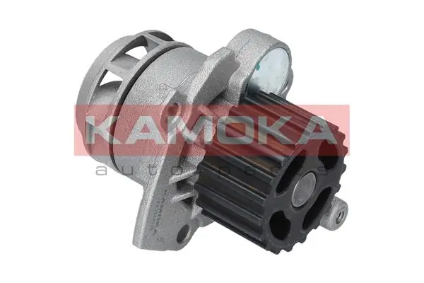 T0253 Kamoka