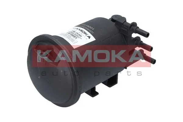 F319201 Kamoka