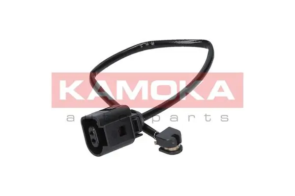 105097 Kamoka