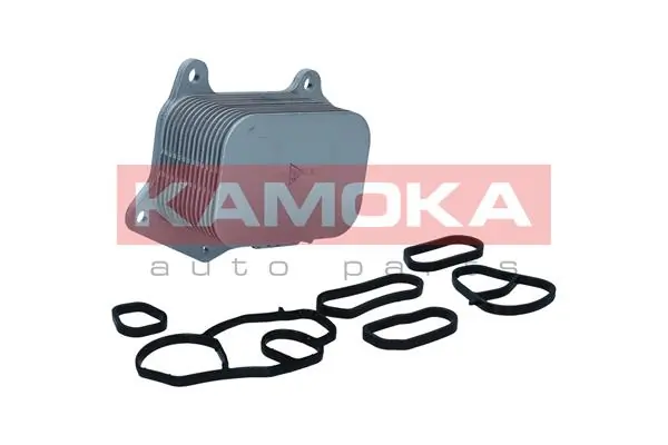 7730036 Kamoka