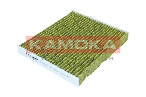 6080129 Kamoka