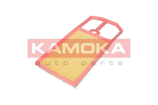 F233601 Kamoka