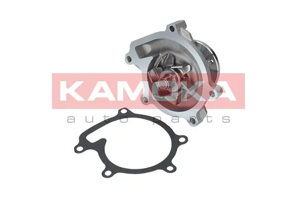 T0110 Kamoka
