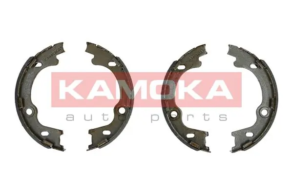 JQ212036 Kamoka