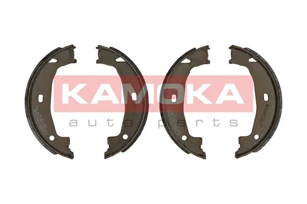 JQ212043 Kamoka