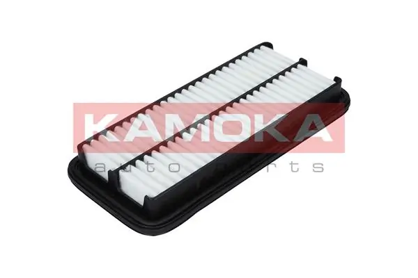 F233301 Kamoka