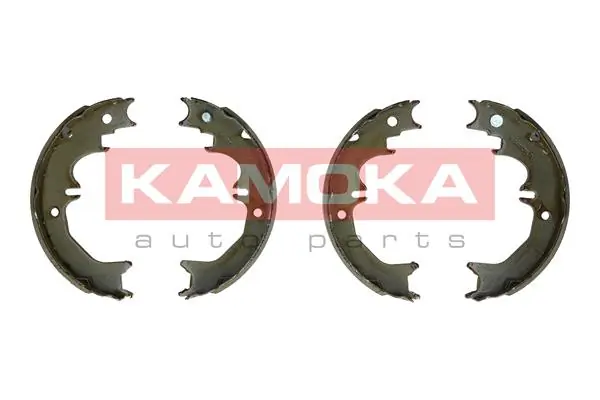 JQ212052 Kamoka