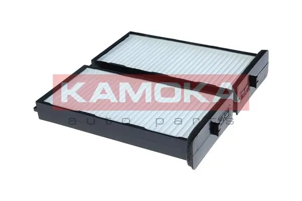 F430101 Kamoka