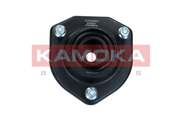 209281 Kamoka