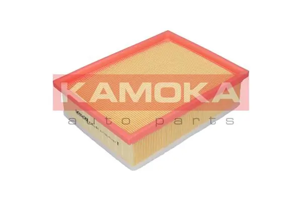 F221101 Kamoka