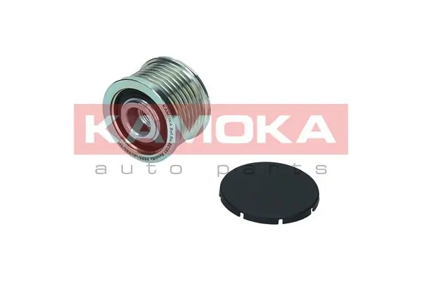  Koło pasowe alternatora Renault SANDERO 